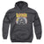 DC - Foggy Youth Hooded Sweatshirt