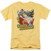 DC - Totally Awesome Adult Regular Fit Short Sleeve