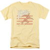 Flash - Scarlet Speedster Adult Regular Fit Short Sleeve