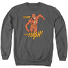 Flash - Whirlwind Adult Crewneck Sweatshirt
