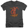 Flash - Whirlwind Adult Slim Fit V Neck Cotton