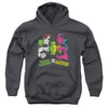 DC - Gl Vs Sinestro Youth Hooded Sweatshirt