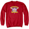 Dc - Flying Through Adult Crewneck Sweatshirt