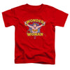 Dc - Flying Through Toddler Short Sleeve