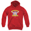 Dc - Flying Through Youth Hooded Sweatshirt