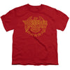 DC - Wonder Eagle Youth Short Sleeve