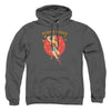 DC - Wonder Circle Adult Pullover Hoodie