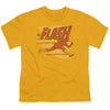 Flash - Speed Lines Youth Short Sleeve