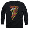 DC - In Bolt Adult Long Sleeve