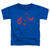 DC - Super Min Toddler Short Sleeve