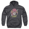 Flash - Vintage Voltage Youth Hooded Sweatshirt