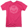 DC - Tattered Emblem Adult Regular Fit Short Sleeve