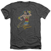 DC - Spinning Adult Regular Fit Heather Short Sleeve