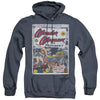 DC - Ww For President Adult Heather Hoodie