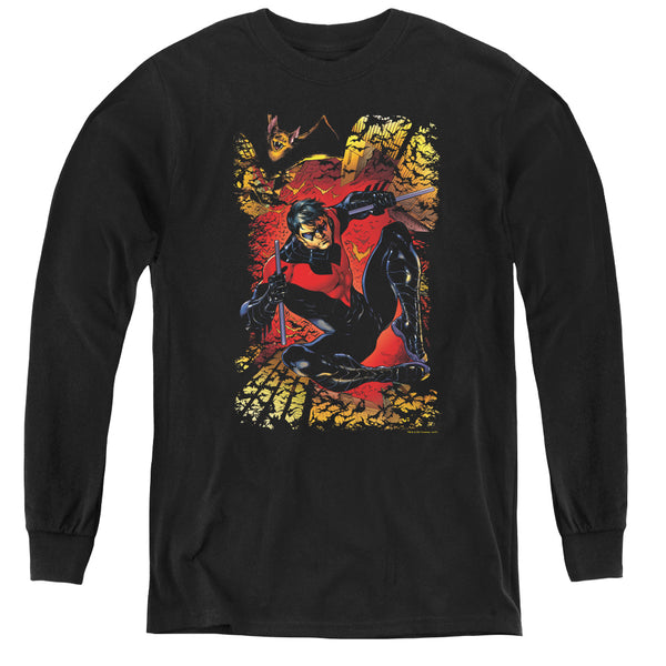 JLA - Nightwing #1 L - S Youth