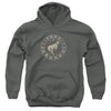 Ford Bronco - Vintage Star Bronco Youth Hooded Sweatshirt