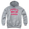 Garfield - Property Of Lasagna Youth Hooded Sweatshirt