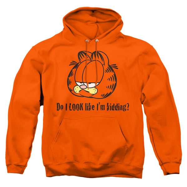 Garfield - Do I Look Like Im Kidding Adult Pullover Hoodie