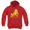 Garfield - Happy Face Youth Hooded Sweatshirt