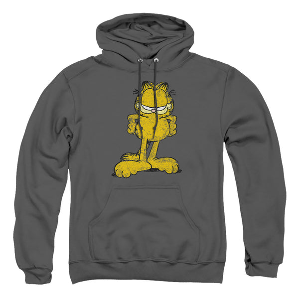 Garfield - Big Ol Cat Adult Pullover Hoodie