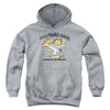 Garfield - Foot Fungus Karate Youth Hooded Sweatshirt