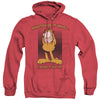 Garfield - I Didnt Do It Adult Heather Hoodie