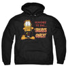 Garfield - Treats Only Adult Pullover Hoodie