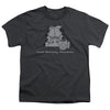 Garfield - Good Morning Sunshine Youth Short Sleeve