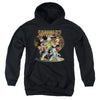 Garfield - Spotlight Youth Hooded Sweatshirt