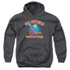 Garfield - Super Youth Hooded Sweatshirt