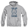 Garfield - I Complained Adult Pullover Hoodie