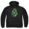 Green Lantern - Rayner Cover Adult Pullover Hoodie