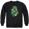 Green Lantern - Rayner Cover Adult Crewneck Sweatshirt