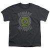 Green Lantern - Beware Youth Short Sleeve