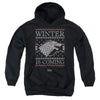 Game Of Thrones - Winter Is Coming Ugly Christmas Youth Hooded Sweatshirt