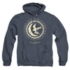 Game Of Thrones - Arryn Burst Sigil Adult Heather Hoodie