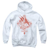Dungeons And Dragons - Year Of The Dragon Red Lantern Youth Hooded Sweatshirt