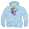 My Little Pony - Rainbow Dash Head Adult Pullover Hoodie