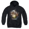Magic The Gathering - Ajani Youth Hooded Sweatshirt