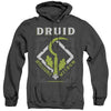 Dungeons And Dragons - Druid Adult Heather Hoodie