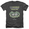 Dungeons And Dragons - Dangerous To Go Alone Adult Regular Fit Heather Short Sleeve