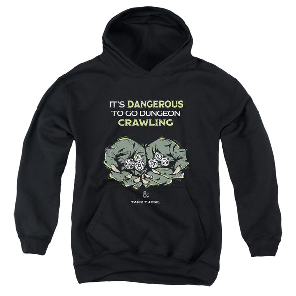 Dungeons And Dragons - Dangerous To Go Alone Youth Hooded Sweatshirt