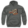 Dungeons And Dragons - Baldurs Gate Youth Hooded Sweatshirt