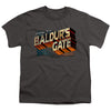 Dungeons And Dragons - Baldurs Gate Youth Short Sleeve