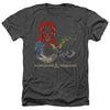 Dungeons And Dragons - Dragons In Dragons Adult Regular Fit Heather Short Sleeve