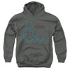 Dungeons And Dragons - Ampersand Classes Youth Hooded Sweatshirt