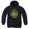 Harry Potter - Hogwarts School Crest Youth Hooded Sweatshirt