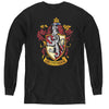 Harry Potter - Gryffindor Crest L - S Youth