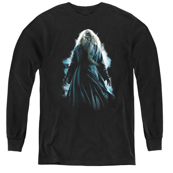 Harry Potter - Dumbledore Burst L - S Youth
