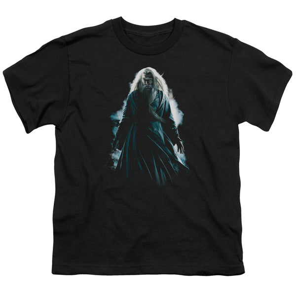 Harry Potter - Dumbledore Burst Youth Short Sleeve